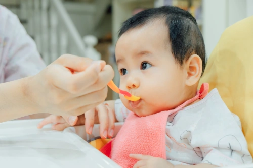 resep makanan bayi 6 bulan untuk kecerdasan otak-nutriclub