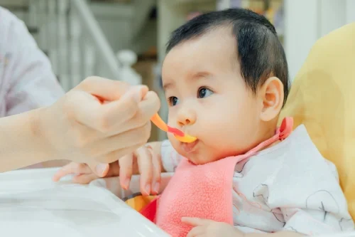 resep makanan bayi 6 bulan untuk kecerdasan otak-nutriclub
