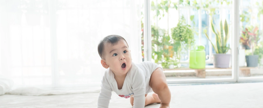 perkembangan bayi 8 bulan-nutriclub