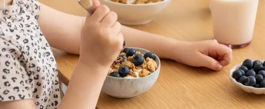 Banner Artikel Contoh Sinbiotik dan Perannya untuk Otak & Imunitas Anak