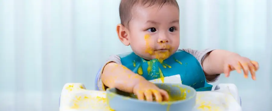 Banner Artikel Mitos dan Fakta MPASI yang Perlu Orang Tua Tahu Banner Artikel Mitos dan Fakta MPASI yang Perlu Orang Tua Tahu