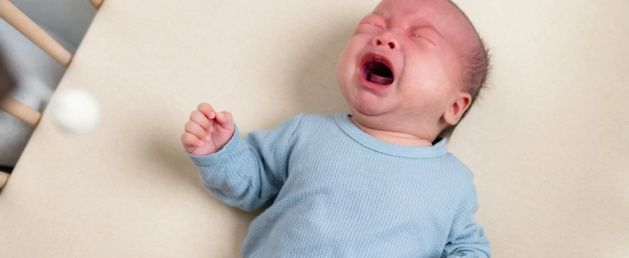 Banner Artikel 10 Arti Tangisan Bayi: Makna di Balik Suara, Ekspresi, dan Gerakannya Banner Artikel 10 Arti Tangisan Bayi: Makna di Balik Suara, Ekspresi, dan Gerakannya