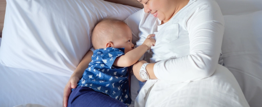 Banner Artikel 15 Manfaat Daun Katuk untuk Ibu Menyusui