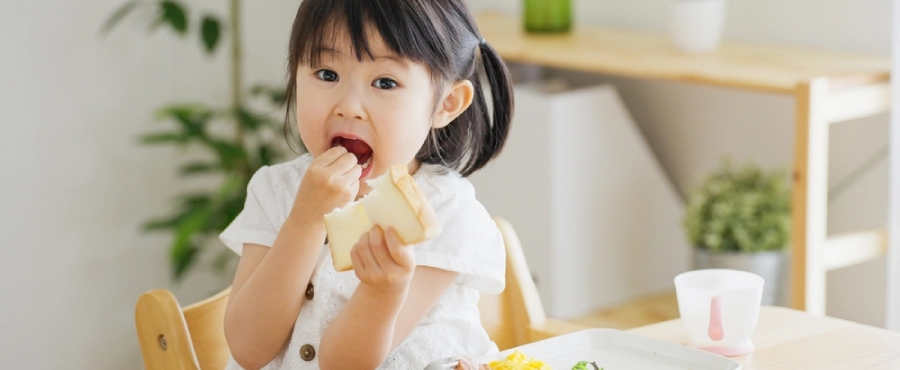Banner Artikel Daftar Makanan Sehat dan Bergizi untuk Anak Banner Artikel Daftar Makanan Sehat dan Bergizi untuk Anak