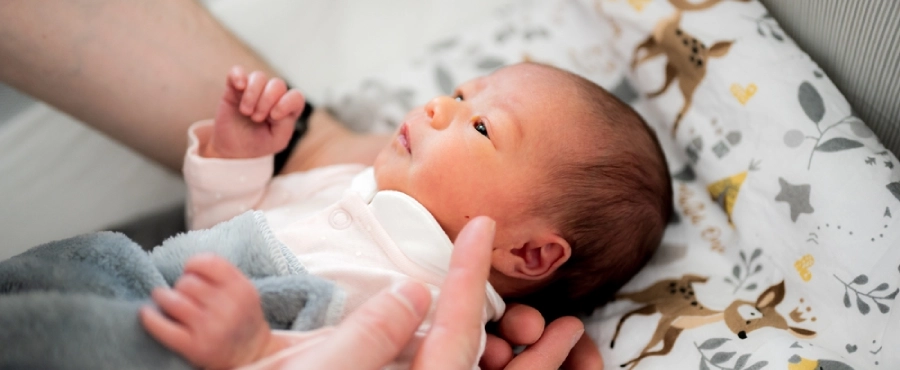 Banner Artikel Cara Merawat Bayi Prematur di Rumah agar Tetap Sehat dan Cepat Tumbuh