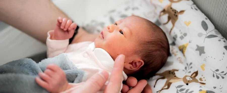 perawatan bayi prematur di rumah- nutrilon