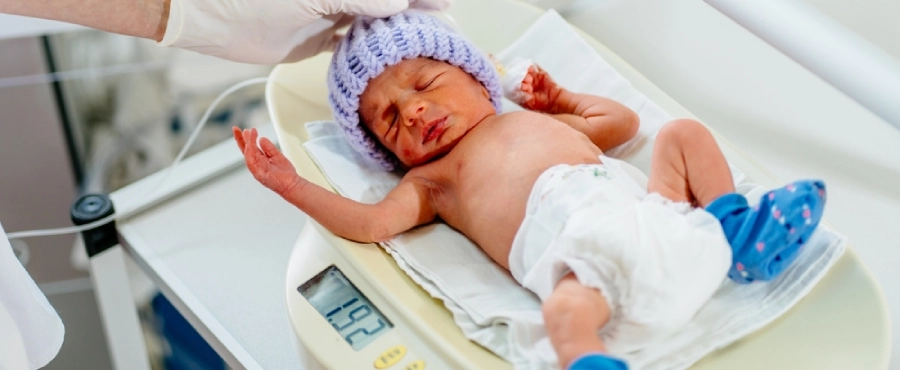 Banner Artikel Kenapa Bayi Prematur Rentan Sakit? Ini Gangguan Kesehatan yang Sering Terjadi Banner Artikel Kenapa Bayi Prematur Rentan Sakit? Ini Gangguan Kesehatan yang Sering Terjadi