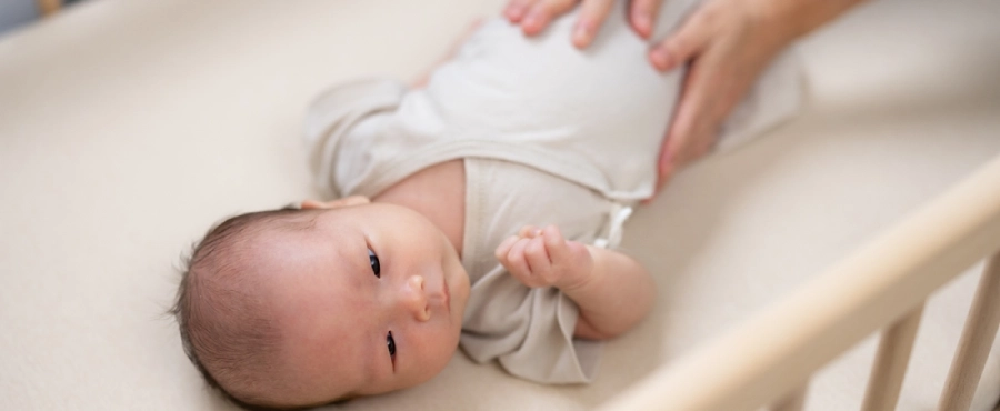 Banner Artikel Konstipasi pada Bayi: Penyebab Sembelit, Cara Mengatasi, dan Pencegahannya