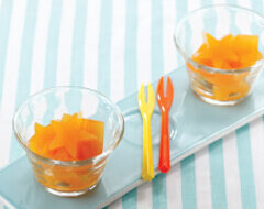 puding-tropical_small